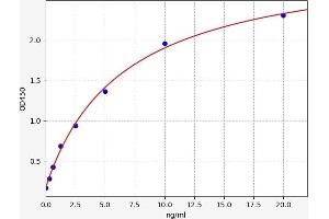 Typical standard curve