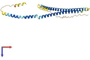 AlphaFold protein structure predicition of Mouse Recombinant Syce1l Protein, UniprotID Q5D525