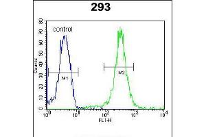 Flow cytometric analysis of 293 cells (right histogram) compared to a negative control cell (left histogram). (UBAC2 anticorps  (N-Term))