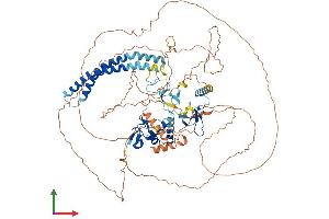 AlphaFold protein structure predicition of Human Recombinant RNF19A Protein, UniprotID Q9NV58