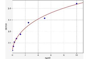 Typical standard curve (ARNT Kit ELISA)