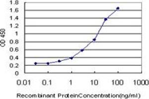 Detection limit for recombinant GST tagged SLC25A13 is approximately 0.