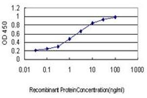 Detection limit for recombinant GST tagged RFWD2 is approximately 0.