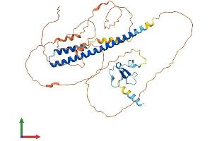 AlphaFold protein structure predicition of Human Recombinant ING1 Protein, UniprotID Q9UK53