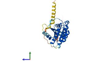 AlphaFold protein structure predicition of Mouse Recombinant Rasl11a Protein, UniprotID Q6IMB1