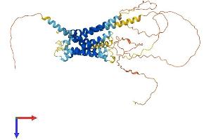 AlphaFold protein structure predicition of Human Recombinant GPR75 Protein, UniprotID O95800