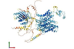 AlphaFold protein structure predicition of Human Recombinant SLC4A8 Protein, UniprotID Q2Y0W8