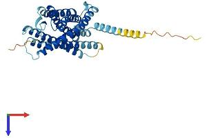 AlphaFold protein structure predicition of Human Recombinant PTAFR Protein, UniprotID P25105