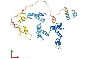 AlphaFold protein structure predicition of Human Recombinant ZNF670 Protein, UniprotID Q9BS34