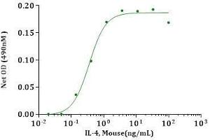 IL-4, Mouse stimulates cell proliferation of HT-2 cells. (IL-4 Protein (AA 23-140))