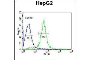 Flow cytometric analysis of HepG2 cells (right histogram) compared to a negative control cell (left histogram). (AIFM2 anticorps  (C-Term))