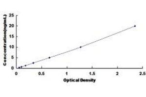 Typical Standard Curve (Permeability Glycoprotein Kit ELISA)