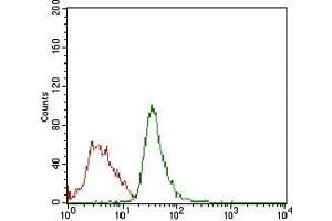 Flow cytometric analysis of Jurkat cells using RB1 mouse mAb (green) and negative control (red).