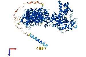 AlphaFold protein structure predicition of Mouse Recombinant Ndst1 Protein, UniprotID Q3UHN9