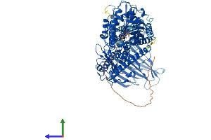 AlphaFold protein structure predicition of Mouse Recombinant Ermp1 Protein, UniprotID Q3UVK0