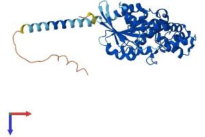 Guanine Nucleotide Binding Protein (G Protein) alpha 12 (GNA12) (AA 1-381) protein (His tag)