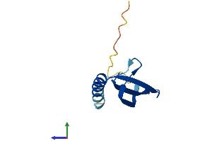 AlphaFold protein structure predicition of Mouse Recombinant Commd6 Protein, UniprotID Q3V4B5