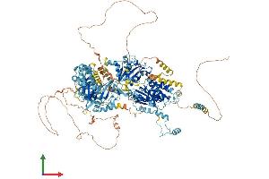 AlphaFold protein structure predicition of Mouse Recombinant Pnpla6 Protein, UniprotID Q3TRM4