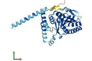 AlphaFold protein structure predicition of Mouse Recombinant Alg5 Protein, UniprotID Q9DB25