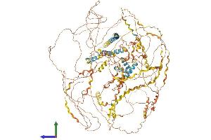 AlphaFold protein structure predicition of Mouse Recombinant Col17a1 Protein, UniprotID Q07563