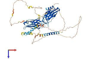 AlphaFold protein structure predicition of Human Recombinant SYT3 Protein, UniprotID Q9BQG1