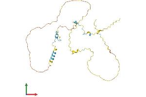 AlphaFold protein structure predicition of Mouse Recombinant Cdca3 Protein, UniprotID Q99M54