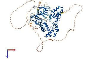 AlphaFold protein structure predicition of Human Recombinant CHFR Protein, UniprotID Q96EP1