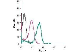 Cell surface detection of ADORA2b in live intact human THP-1 monocytic leukemia cells: (black line) Cells.