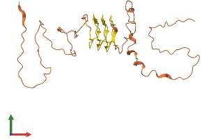 AlphaFold protein structure predicition of Human Recombinant KRTAP5-5 Protein, UniprotID Q701N2
