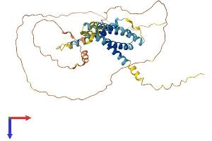 AlphaFold protein structure predicition of Mouse Recombinant Tmem79 Protein, UniprotID Q9D709