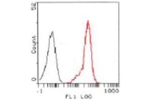 Image no. 1 for anti-Formyl Peptide Receptor 2 (FPR2) antibody (ABIN329919) (FPR2 anticorps)
