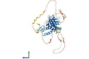 AlphaFold protein structure predicition of Human Recombinant SPRED3 Protein, UniprotID Q2MJR0