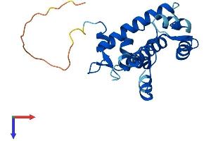 AlphaFold protein structure predicition of Human Recombinant SRI Protein, UniprotID P30626