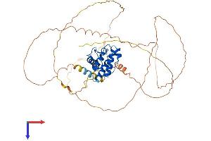AlphaFold protein structure predicition of Mouse Recombinant Smtnl1 Protein, UniprotID Q99LM3