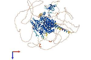 AlphaFold protein structure predicition of Mouse Recombinant Mtmr3 Protein, UniprotID Q8K296