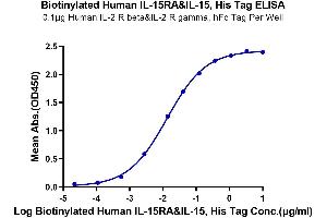 Immobilized Human IL-2 R beta&IL-2 R gamma, hFc Tag at 1 μg/mL (100 μL/well) on the plate.
