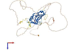 AlphaFold protein structure predicition of Human Recombinant TBX22 Protein, UniprotID Q9Y458