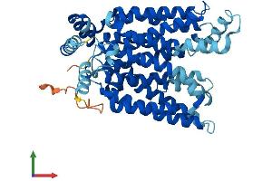 AlphaFold protein structure predicition of Mouse Recombinant Slc2a3 Protein, UniprotID P32037