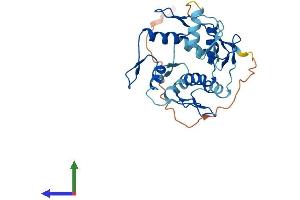 AlphaFold protein structure predicition of Human Recombinant ZNF80 Protein, UniprotID P51504