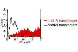 IL13 Receptor alpha 1 anticorps  (Extracellular Domain)