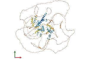 AlphaFold protein structure predicition of Human Recombinant SALL4 Protein, UniprotID Q9UJQ4