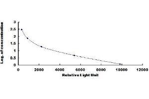 ELISA image for Progesterone CLIA Kit (ABIN1873121)