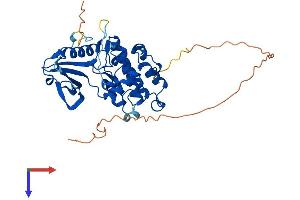 AlphaFold protein structure predicition of Human Recombinant STK17B Protein, UniprotID O94768