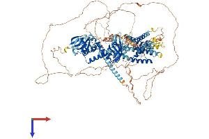 AlphaFold protein structure predicition of Human Recombinant KCNH2 Protein, UniprotID Q12809