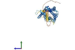 AlphaFold protein structure predicition of Mouse Recombinant Tacr1 Protein, UniprotID P30548