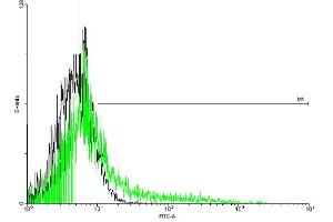 FACS analysis of negative control 293 cells (Black) and IL2RB expressing 293 cells (Green) using IL2RB purified MaxPab mouse polyclonal antibody. (IL2 Receptor beta anticorps  (AA 1-551))