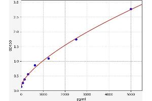 Isocitrate Dehydrogenase 1 (NADP+), Soluble (IDH1) ELISA Kit