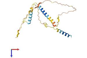 AlphaFold protein structure predicition of Human Recombinant BCL2L11 Protein, UniprotID O43521