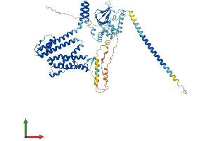 AlphaFold protein structure predicition of Mouse Recombinant Cnga2 Protein, UniprotID Q62398