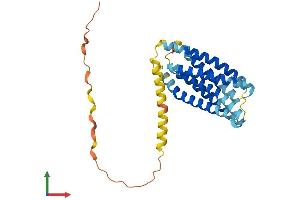 AlphaFold protein structure predicition of Human Recombinant TMEM163 Protein, UniprotID Q8TC26